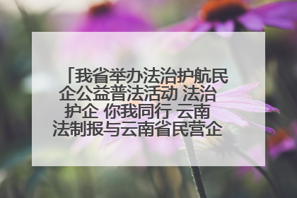 我省举办法治护航民企公益普法活动 法治护企 你我同行 云南法制报与云南省民营企业家协会携手共建“媒体+协会+企业”法治服务生态圈