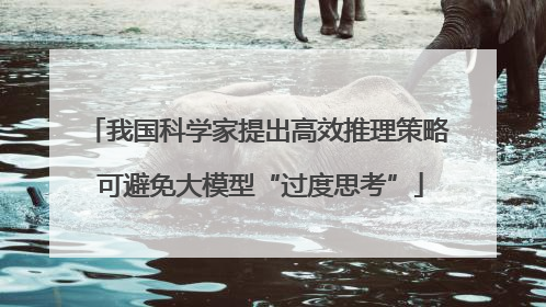我国科学家提出高效推理策略 可避免大模型“过度思考”