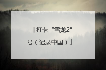 打卡“雪龙2”号（记录中国）
