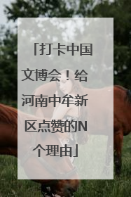 打卡中国文博会！给河南中牟新区点赞的N个理由