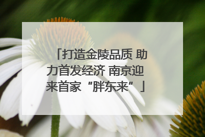 打造金陵品质 助力首发经济 南京迎来首家“胖东来”