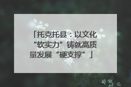 托克托县：以文化“软实力”铸就高质量发展“硬支撑”