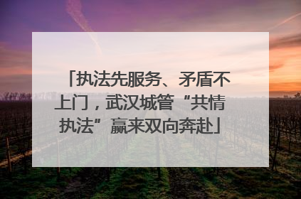 执法先服务、矛盾不上门，武汉城管“共情执法”赢来双向奔赴