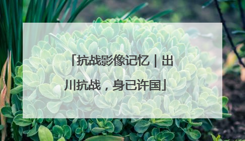 抗战影像记忆｜出川抗战，身已许国