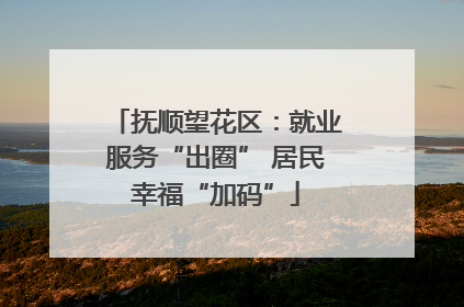 抚顺望花区：就业服务“出圈” 居民幸福“加码”