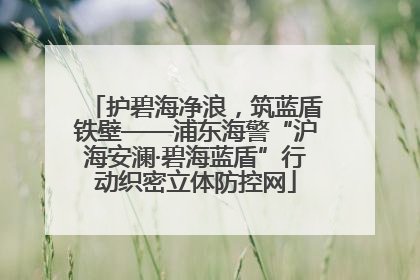 护碧海净浪，筑蓝盾铁壁——浦东海警“沪海安澜·碧海蓝盾”行动织密立体防控网