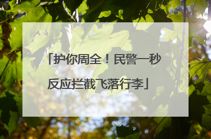 护你周全！民警一秒反应拦截飞落行李