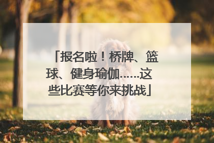 报名啦！桥牌、篮球、健身瑜伽……这些比赛等你来挑战