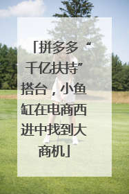 拼多多“千亿扶持”搭台，小鱼缸在电商西进中找到大商机