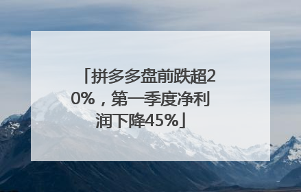 拼多多盘前跌超20%，第一季度净利润下降45%