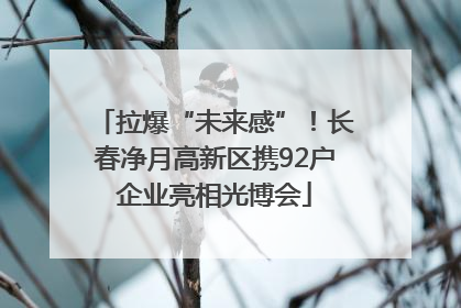 拉爆“未来感”！长春净月高新区携92户企业亮相光博会
