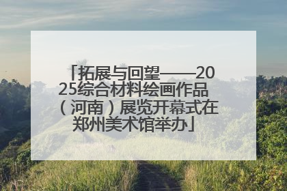拓展与回望——2025综合材料绘画作品（河南）展览开幕式在郑州美术馆举办