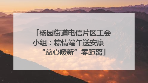 杨园街道电信片区工会小组：粽情端午送安康 “益心暖新”零距离