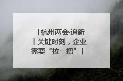杭州两会·追新丨关键时刻，企业需要“拉一把”