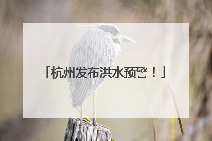 杭州发布洪水预警！