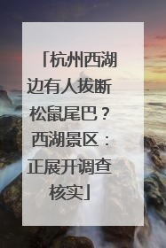 杭州西湖边有人拔断松鼠尾巴？西湖景区：正展开调查核实