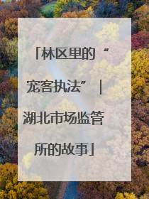 林区里的“宠客执法”｜湖北市场监管所的故事