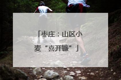枣庄：山区小麦“喜开镰”