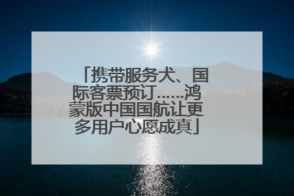 携带服务犬、国际客票预订……鸿蒙版中国国航让更多用户心愿成真