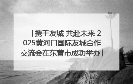 携手友城 共赴未来 2025黄河口国际友城合作交流会在东营市成功举办