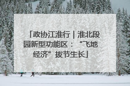 政协江淮行｜淮北段园新型功能区：“飞地经济”拔节生长