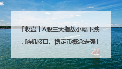 收盘丨A股三大指数小幅下跌，脑机接口、稳定币概念走强