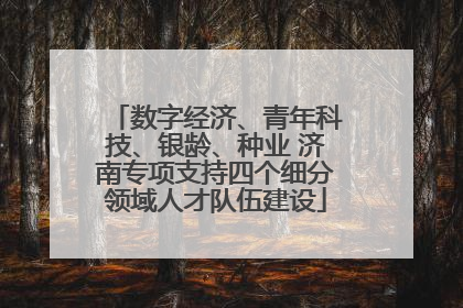 数字经济、青年科技、银龄、种业 济南专项支持四个细分领域人才队伍建设