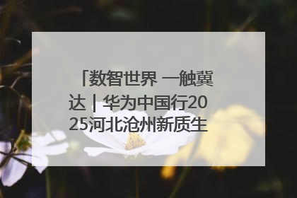 数智世界 一触冀达｜华为中国行2025河北沧州新质生产力峰会成功举办
