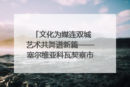 文化为媒连双城 艺术共舞谱新篇——塞尔维亚科瓦契察市代表团访问日照