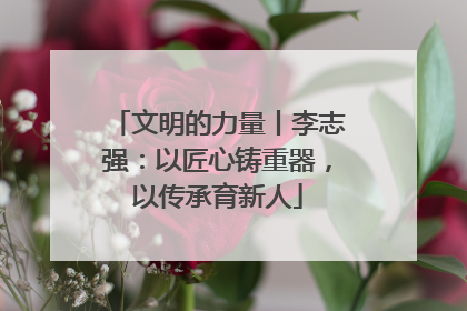 文明的力量丨李志强：以匠心铸重器，以传承育新人