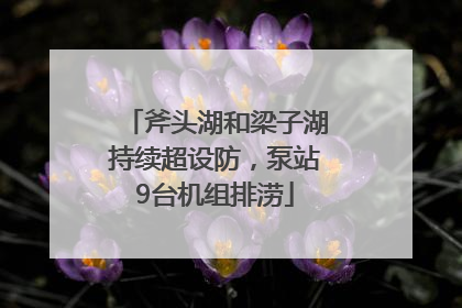 斧头湖和梁子湖持续超设防，泵站9台机组排涝