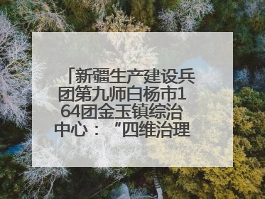 新疆生产建设兵团第九师白杨市164团金玉镇综治中心：“四维治理”淬炼边疆“枫桥样本”