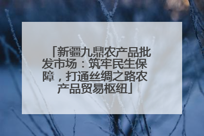 新疆九鼎农产品批发市场：筑牢民生保障，打通丝绸之路农产品贸易枢纽