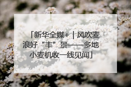新华全媒+｜风吹麦浪好“丰”景——多地小麦机收一线见闻