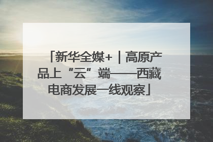 新华全媒+｜高原产品上“云”端——西藏电商发展一线观察