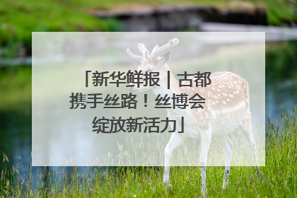 新华鲜报｜古都携手丝路！丝博会绽放新活力