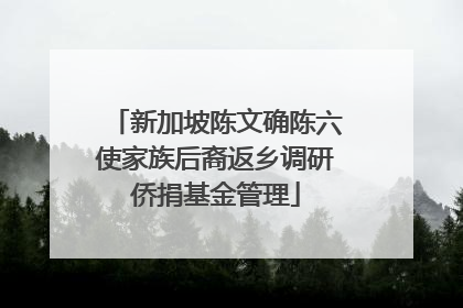 新加坡陈文确陈六使家族后裔返乡调研侨捐基金管理