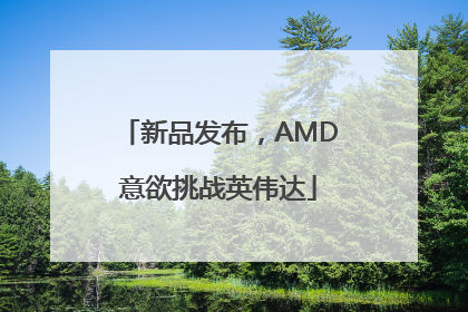 新品发布，AMD意欲挑战英伟达