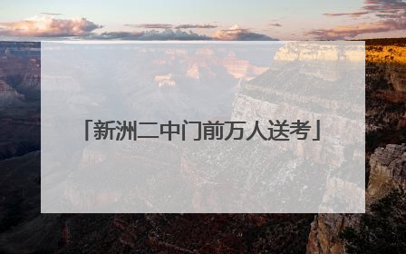新洲二中门前万人送考