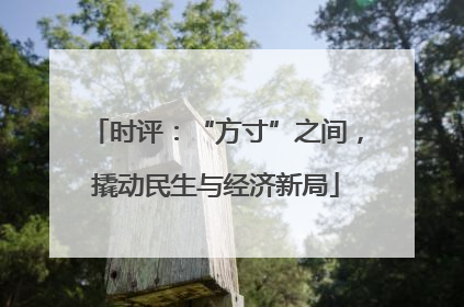 时评：“方寸”之间，撬动民生与经济新局