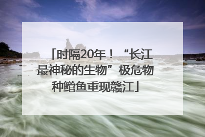 时隔20年！“长江最神秘的生物”极危物种鳤鱼重现赣江
