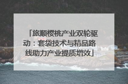 旅顺樱桃产业双轮驱动：套袋技术与精品路线助力产业提质增效