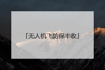 无人机飞防保丰收