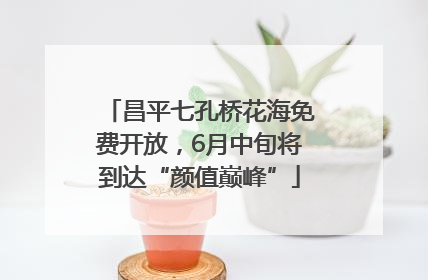 昌平七孔桥花海免费开放，6月中旬将到达“颜值巅峰”