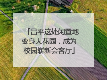 昌平这处闲置地变身大花园，成为校园崭新会客厅