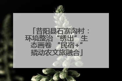 昔阳县石寨沟村：环境整治“绣出”生态画卷 “民宿+”撬动农文旅融合