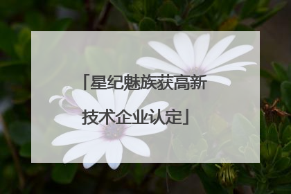 星纪魅族获高新技术企业认定