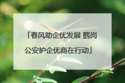 春风助企优发展 鹤岗公安护企优商在行动