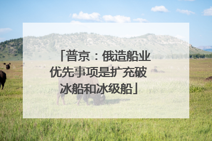 普京：俄造船业优先事项是扩充破冰船和冰级船