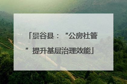 景谷县：“公房社管”提升基层治理效能